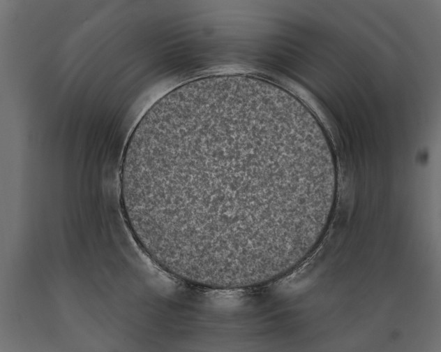 X0000088890810200707061431