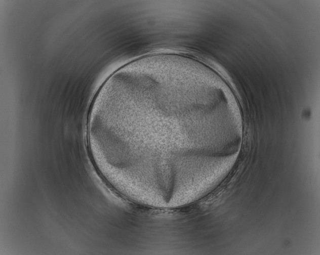 X0000088890811200707061431