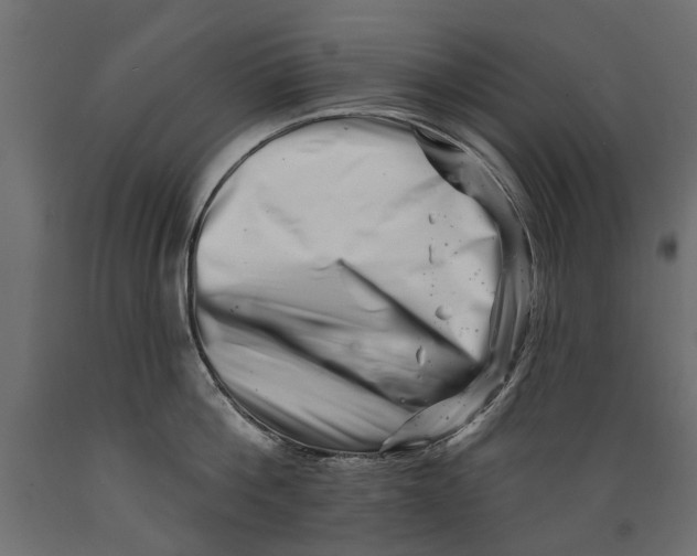 X0000088890812200707061431