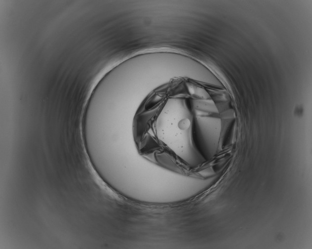 X0000088890813200707061431