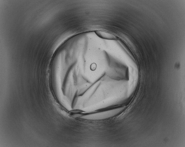 X0000088890814200707061431