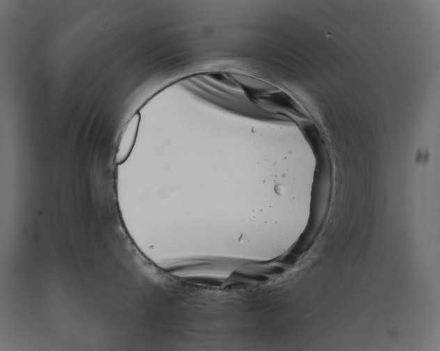 X0000088890816200707061430