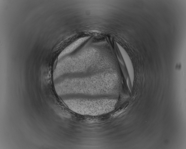 X0000088890818200707061430