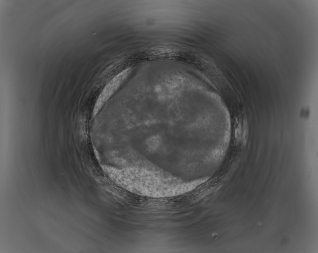 X0000088890819200707061430
