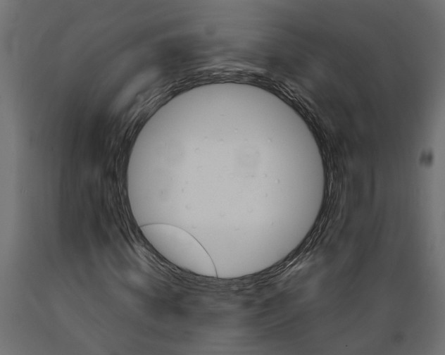 X0000088890820200707061430