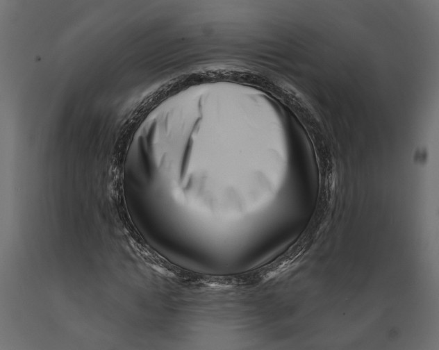 X0000088890822200707061430