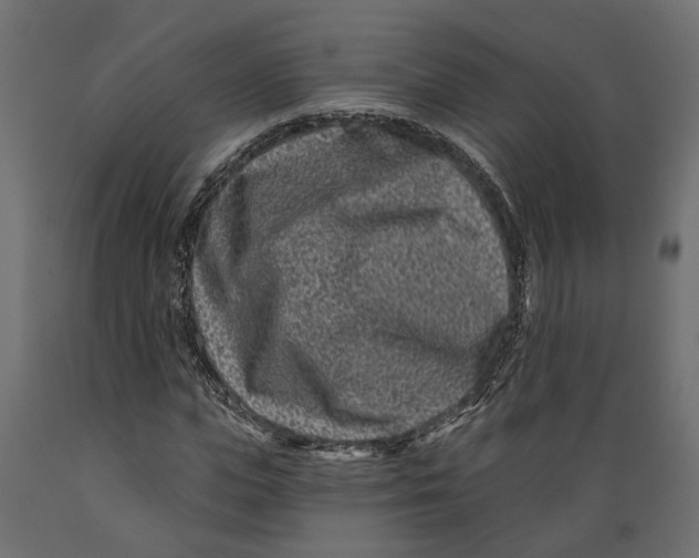 X0000088890823200707061430