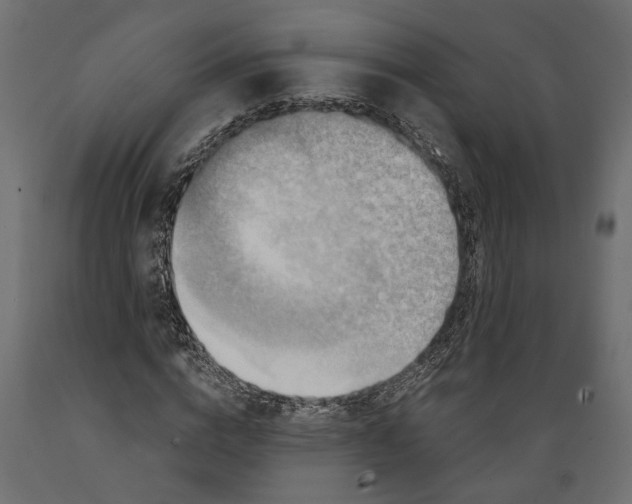 X0000088890824200707061430