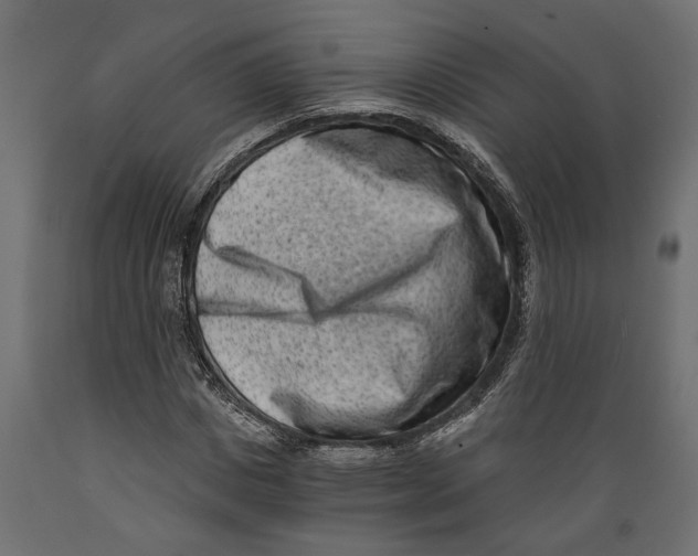 X0000088890825200707061430