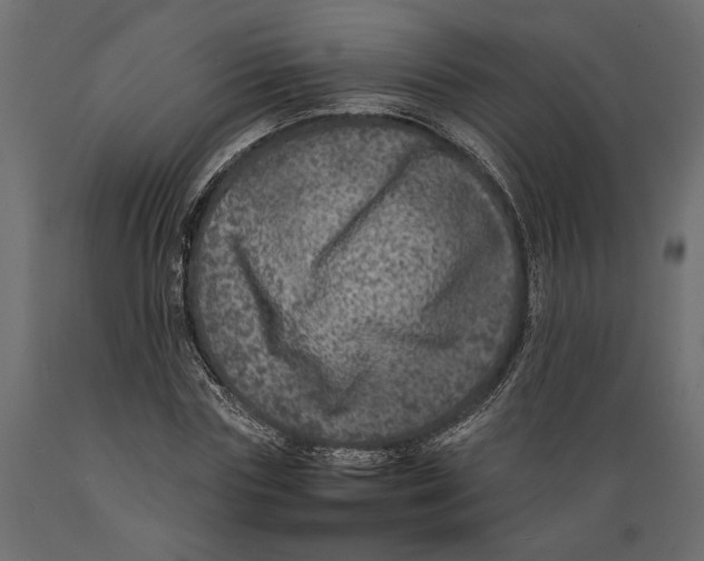X0000088890827200707061430