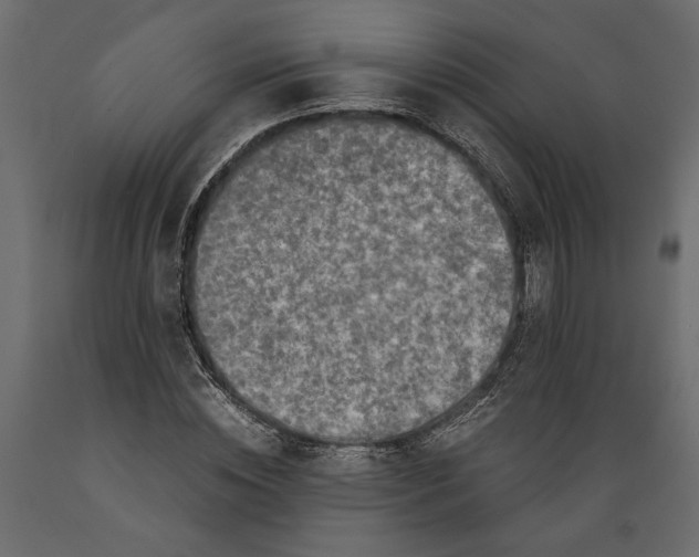 X0000088890828200707061430