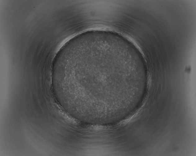 X0000088890829200707061430