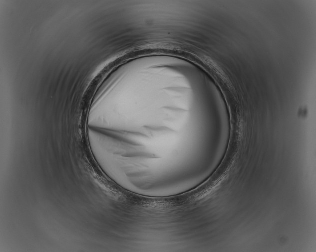 X0000088890830200707061430