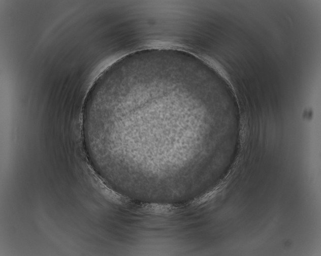 X0000088890831200707061430