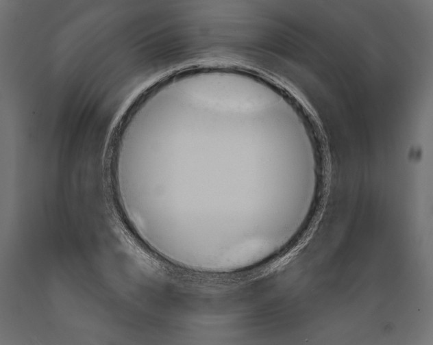 X0000088890832200707061430