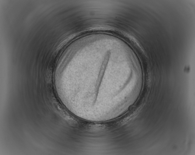 X0000088890833200707061430