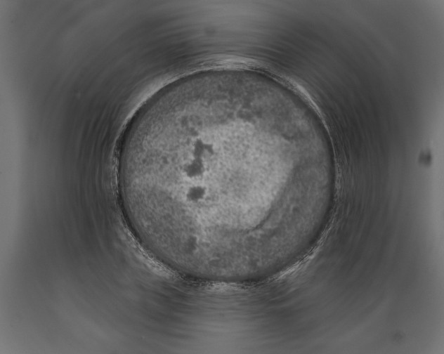 X0000088890835200707061430