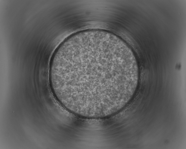 X0000088890836200707061430