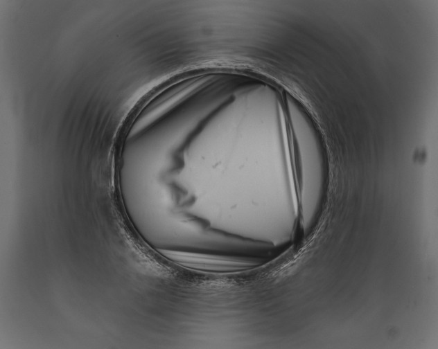 X0000088890838200707061430