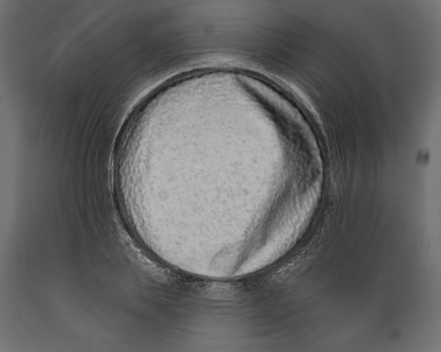 X0000088890839200707061430