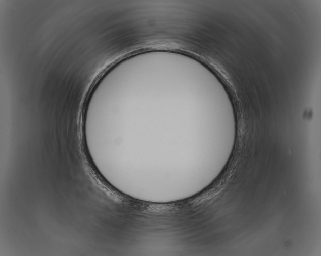 X0000088890840200707061430