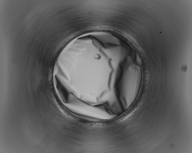 X0000088890841200707061430