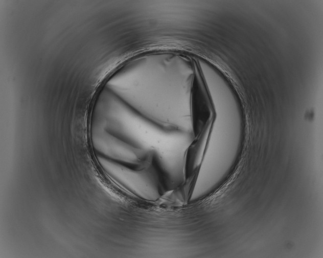 X0000088890842200707061430