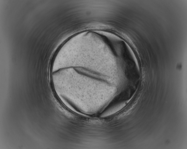 X0000088890843200707061430