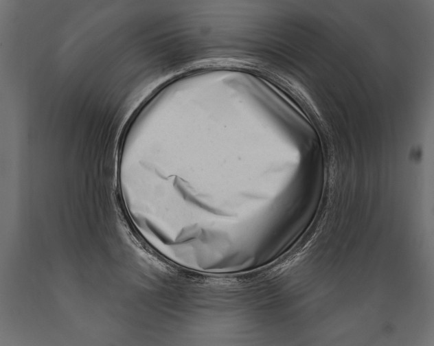 X0000088890844200707061430
