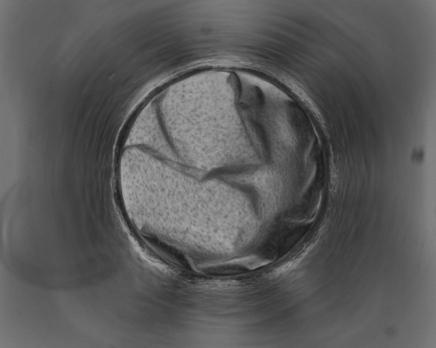 X0000088890845200707061430