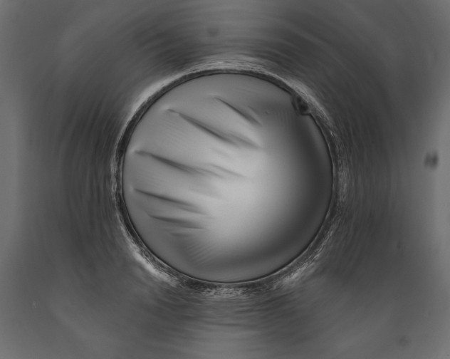 X0000088890846200707061430
