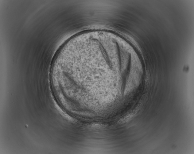 X0000088890847200707061430