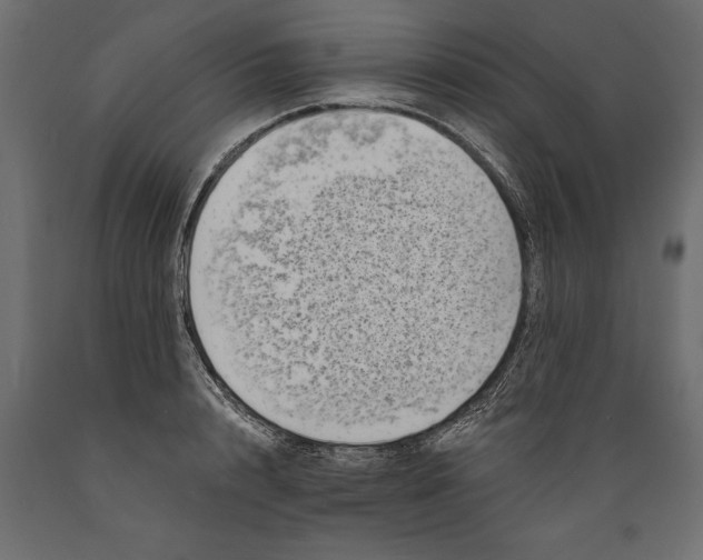 X0000088890848200707061430