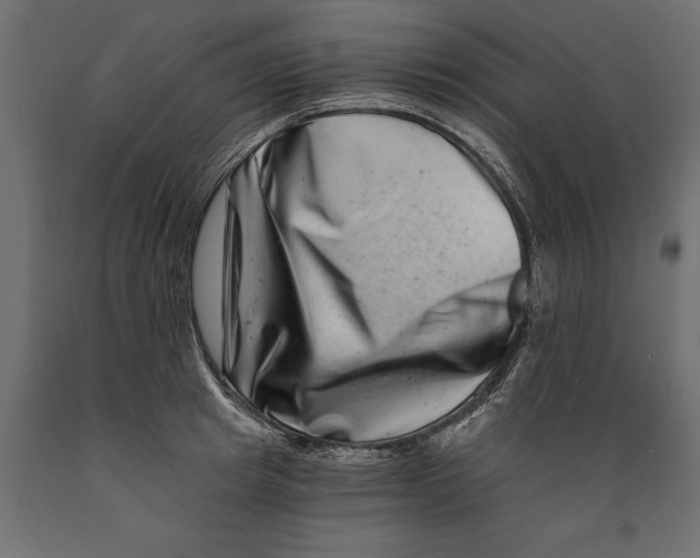 X0000088890849200707061430