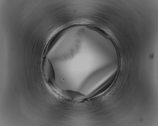 X0000088890850200707061430