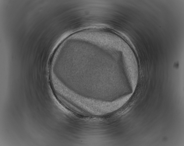 X0000088890851200707061430