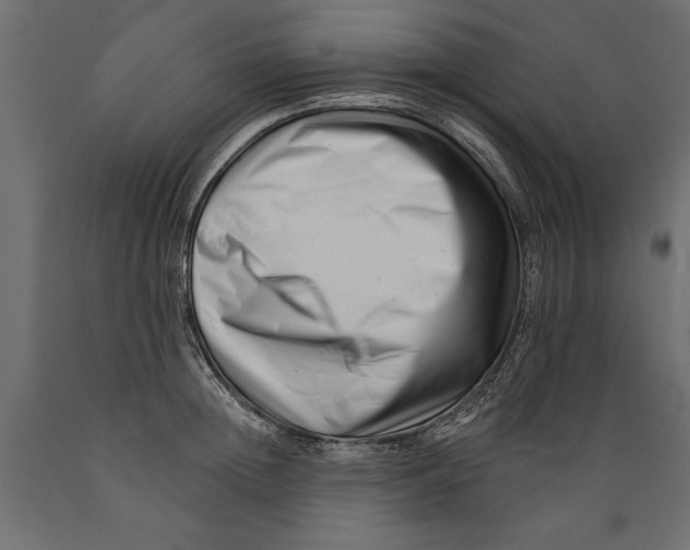 X0000088890852200707061430
