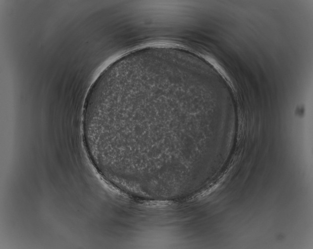 X0000088890853200707061430