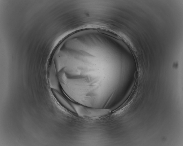 X0000088890854200707061430