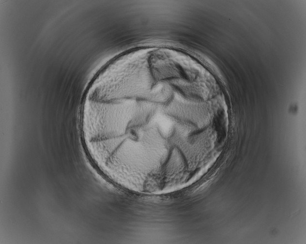 X0000088890855200707061430