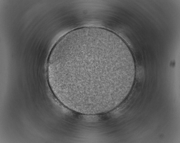 X0000088890856200707061430