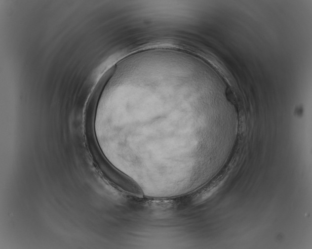 X0000088890858200707061430