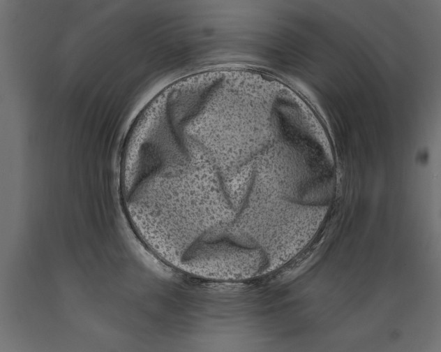 X0000088890859200707061430
