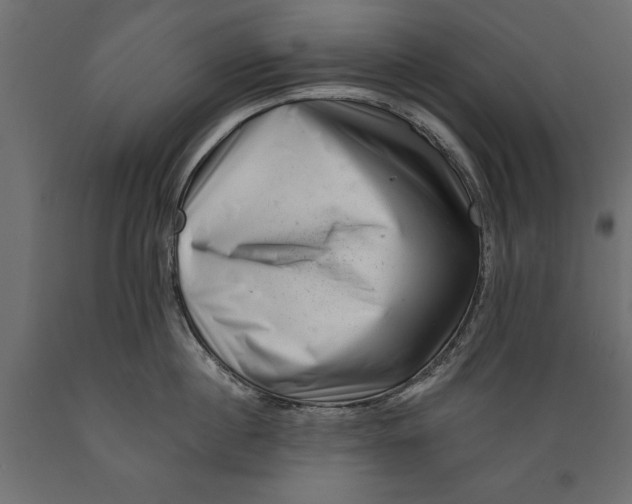 X0000088890860200707061430