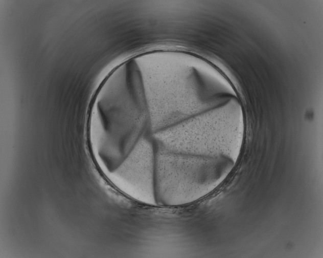 X0000088890861200707061430