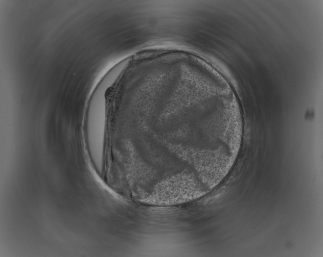 X0000088890863200707061430