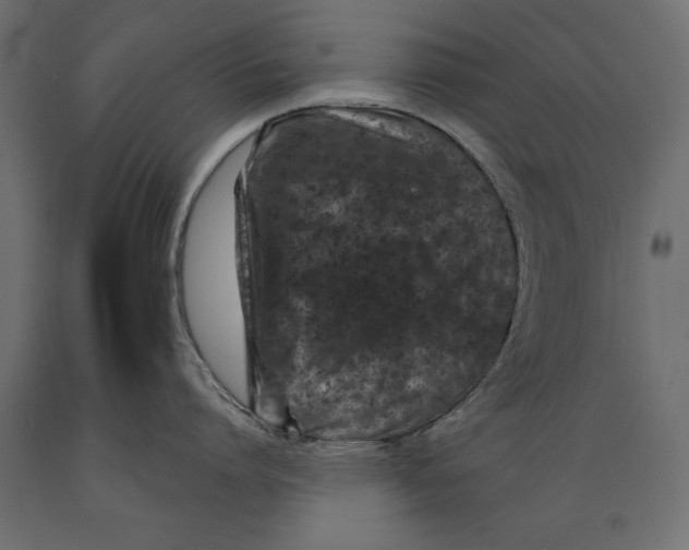 X0000088890864200707061430