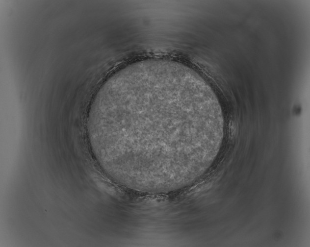 X0000088890865200707061430