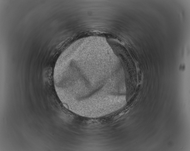 X0000088890867200707061430