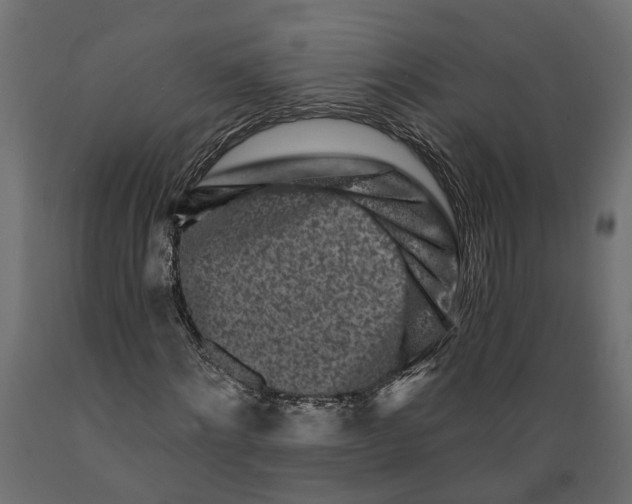 X0000088890868200707061430